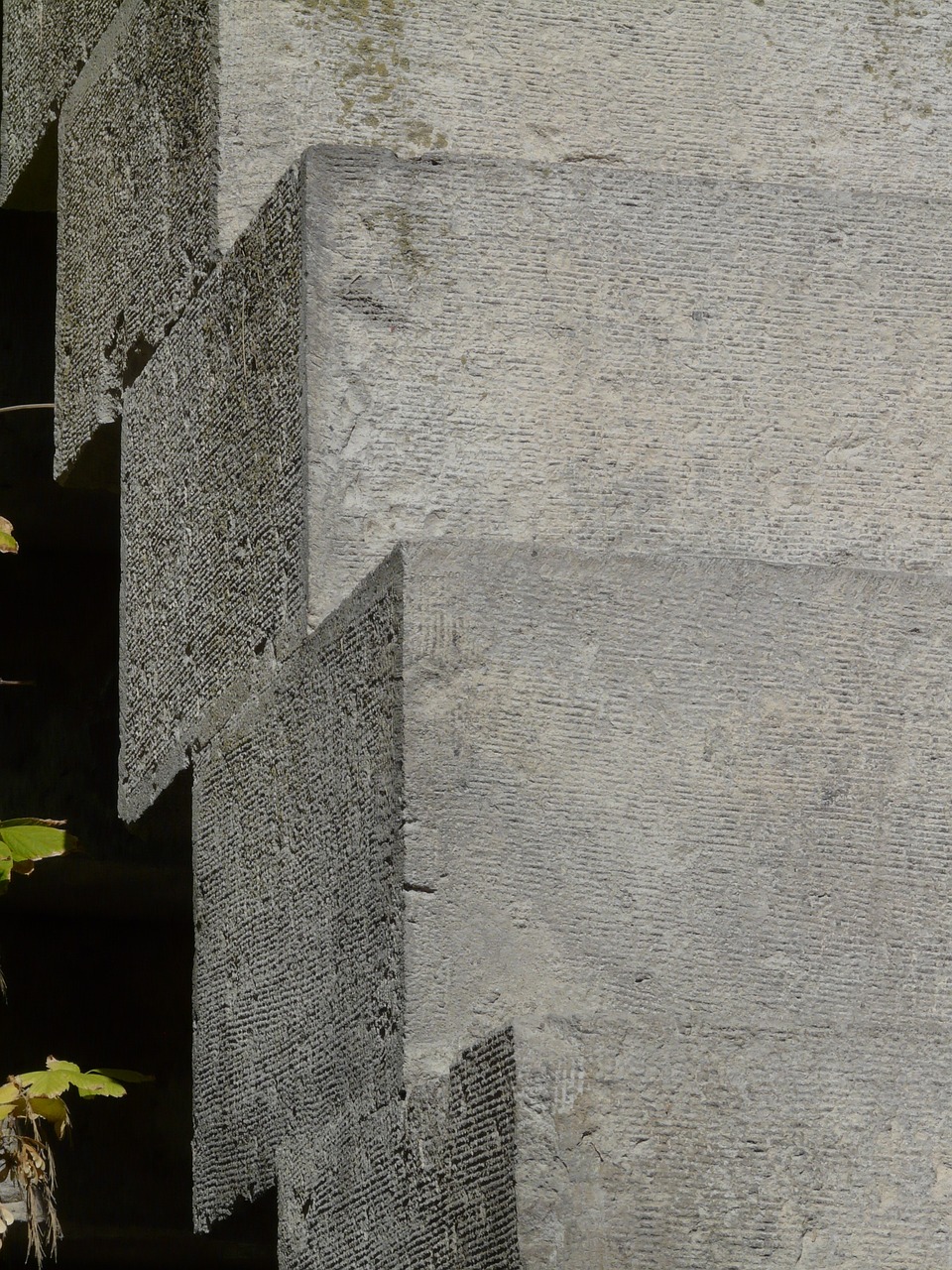 羅琬璐最新動(dòng)態(tài),璀璨新星閃耀時(shí)刻