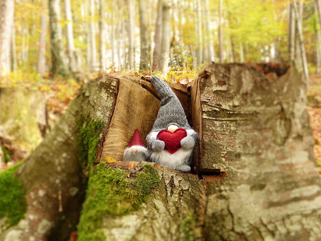 小螞蟻的奇妙冒險之旅,最新幼兒故事精選