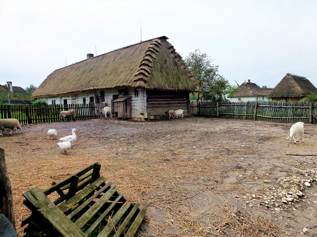 最新農(nóng)村蓋房趨勢(shì)及其影響分析