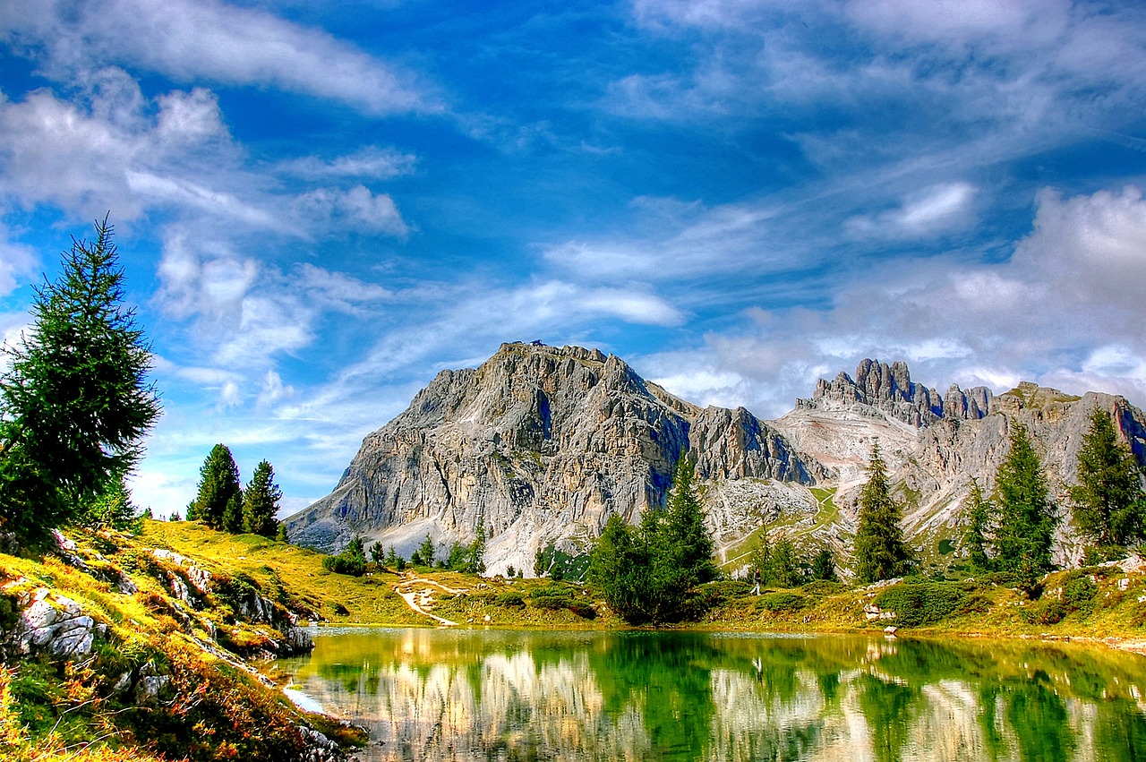 天臺最新新聞,城市發(fā)展的脈搏與社區(qū)動態(tài)更新