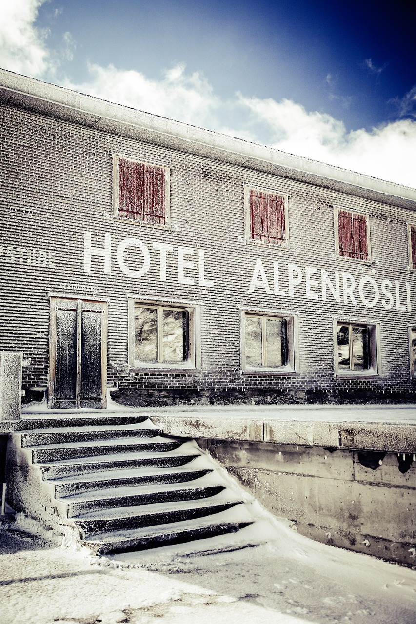 君康人壽最新動態,創新發展的路徑與前景展望