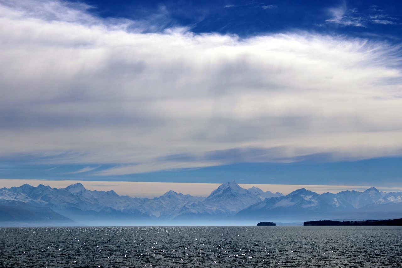 君康人壽最新動態,創新發展的路徑與前景展望