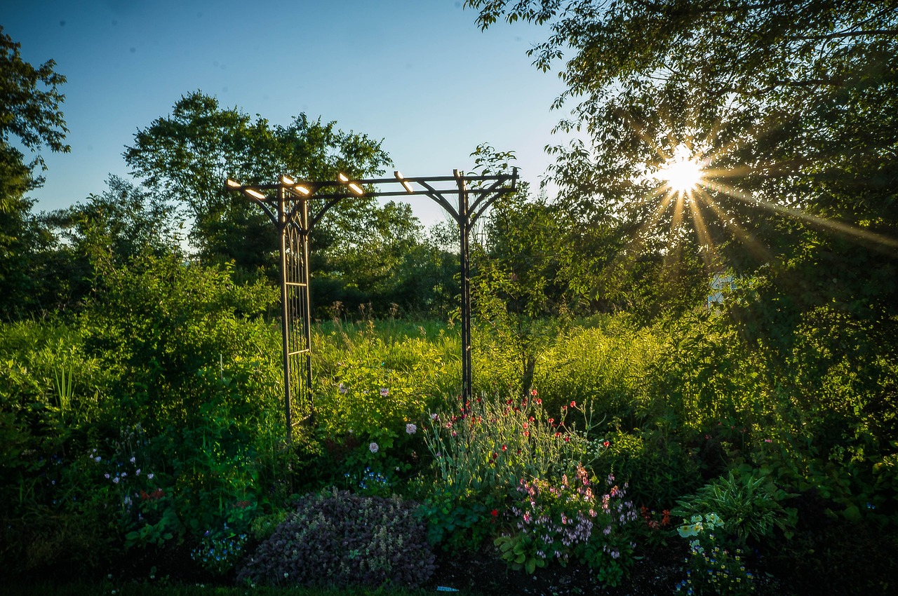 美麗生態最新公告,共建綠色家園,共創美好未來新進展