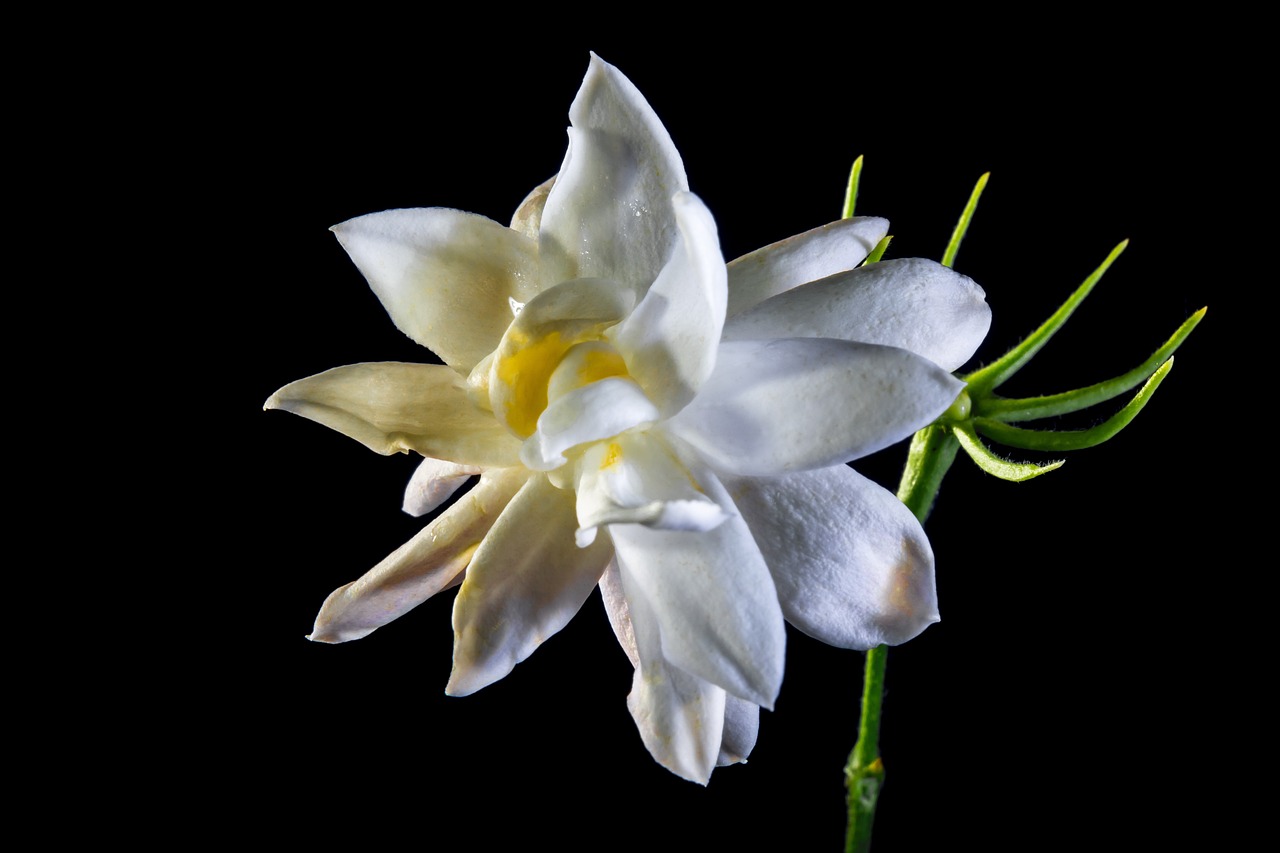 南泉最新招聘動態(tài)與職業(yè)機會深度解析