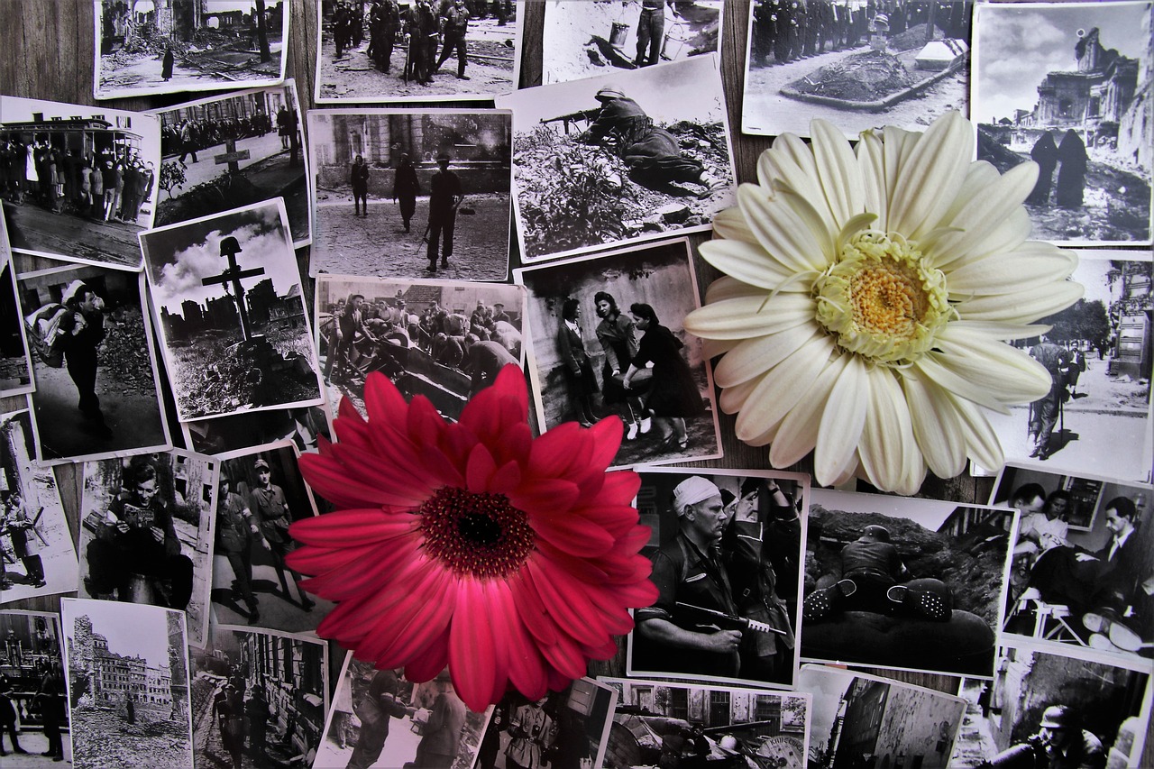 小七2016最新照片,時(shí)光定格的美好瞬間