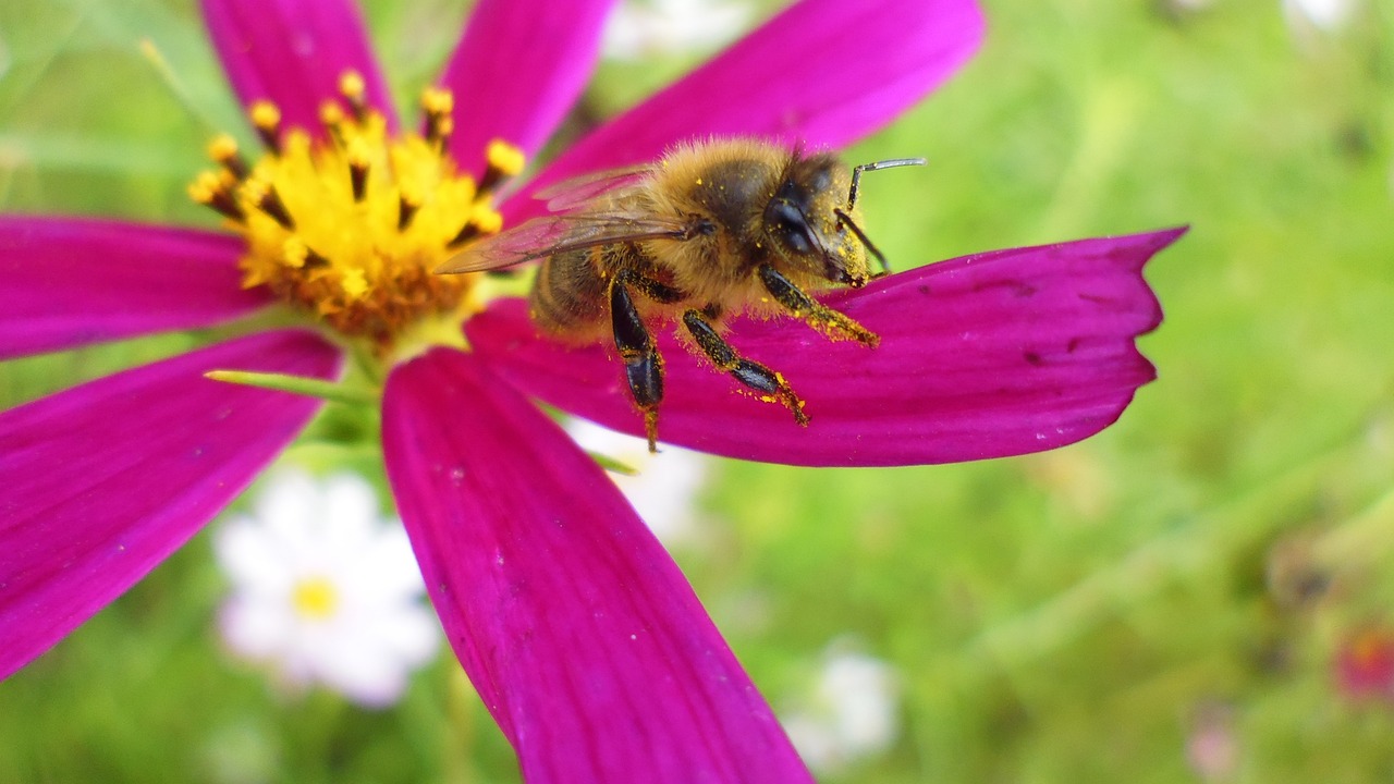 澳門天天開彩大全免費,生物醫學工程_科技動態ZI6827.9683