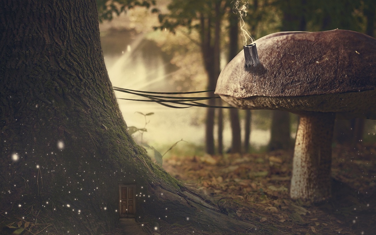 湖州最新干部任免消息及動態更新