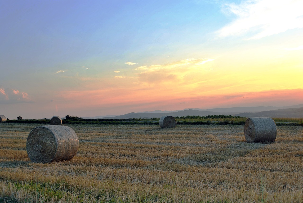 天房發展最新公告揭秘,深度解讀與最新動態