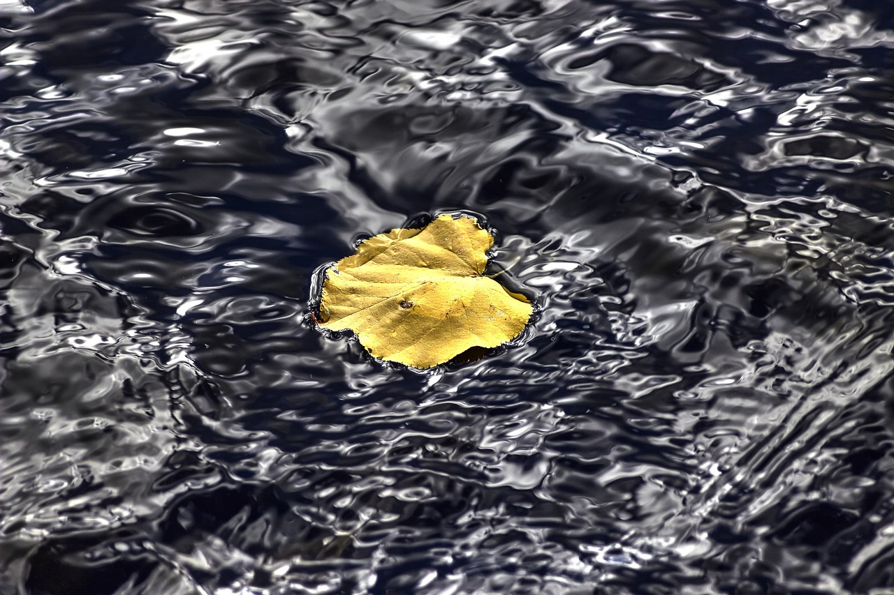 鳳臺最新人事任免動態公布