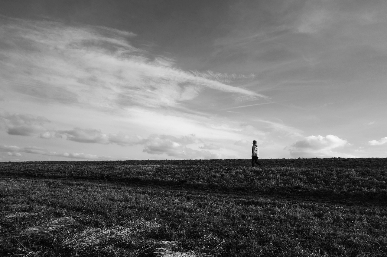 鄒平最新招聘動態發布，共創未來機遇時刻