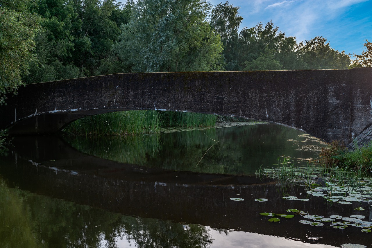 最新港劇觀看指南,追潮港劇,掌握最新動態的最佳去處