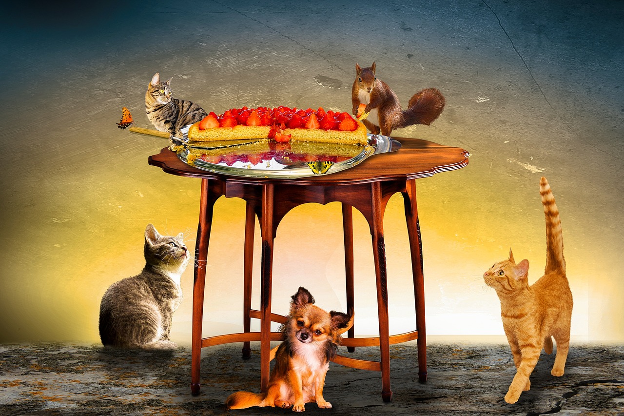 寧和城際最新動態全面解析