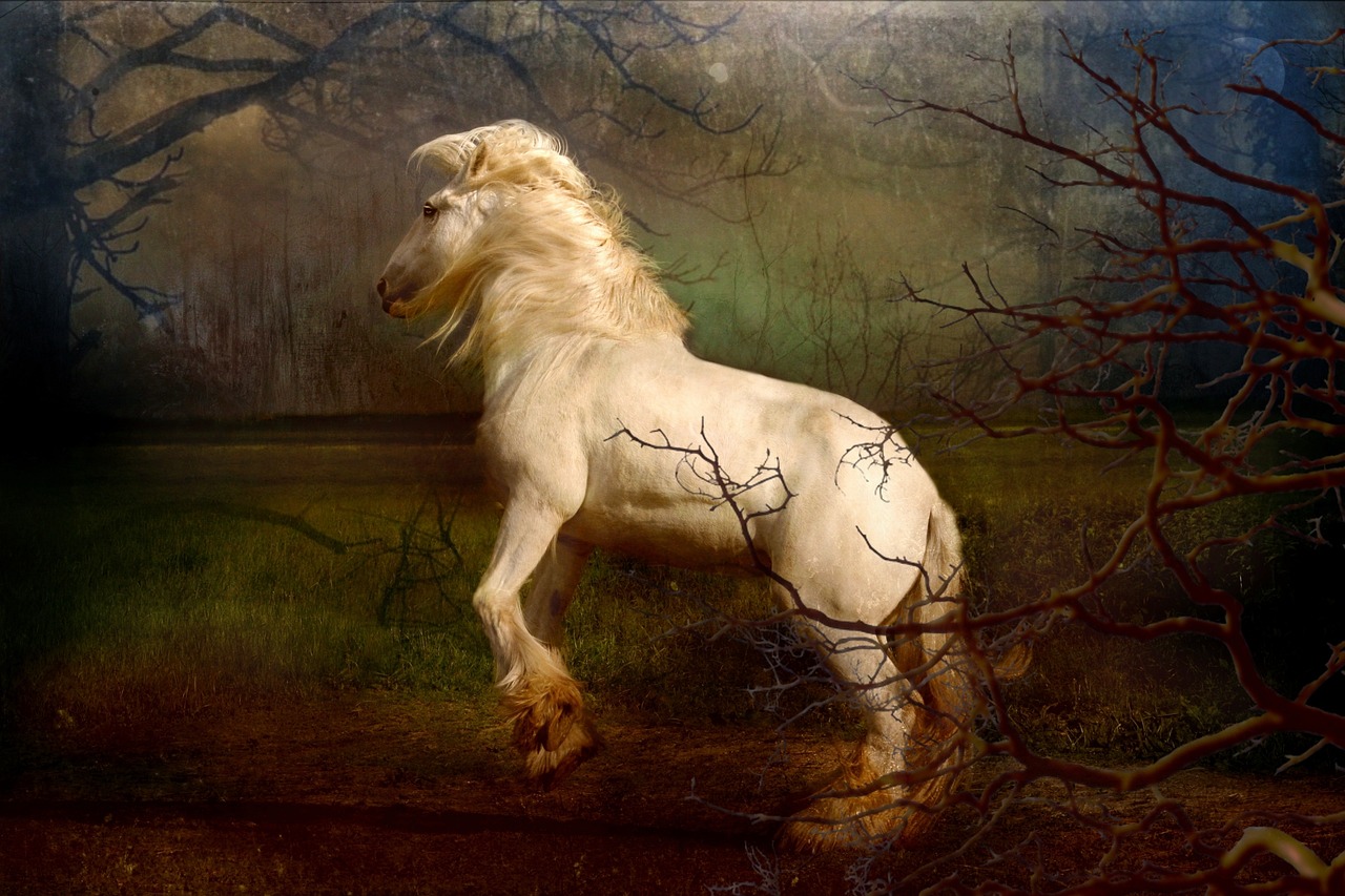 王浩最新動態揭秘,揭開成功的神秘面紗。