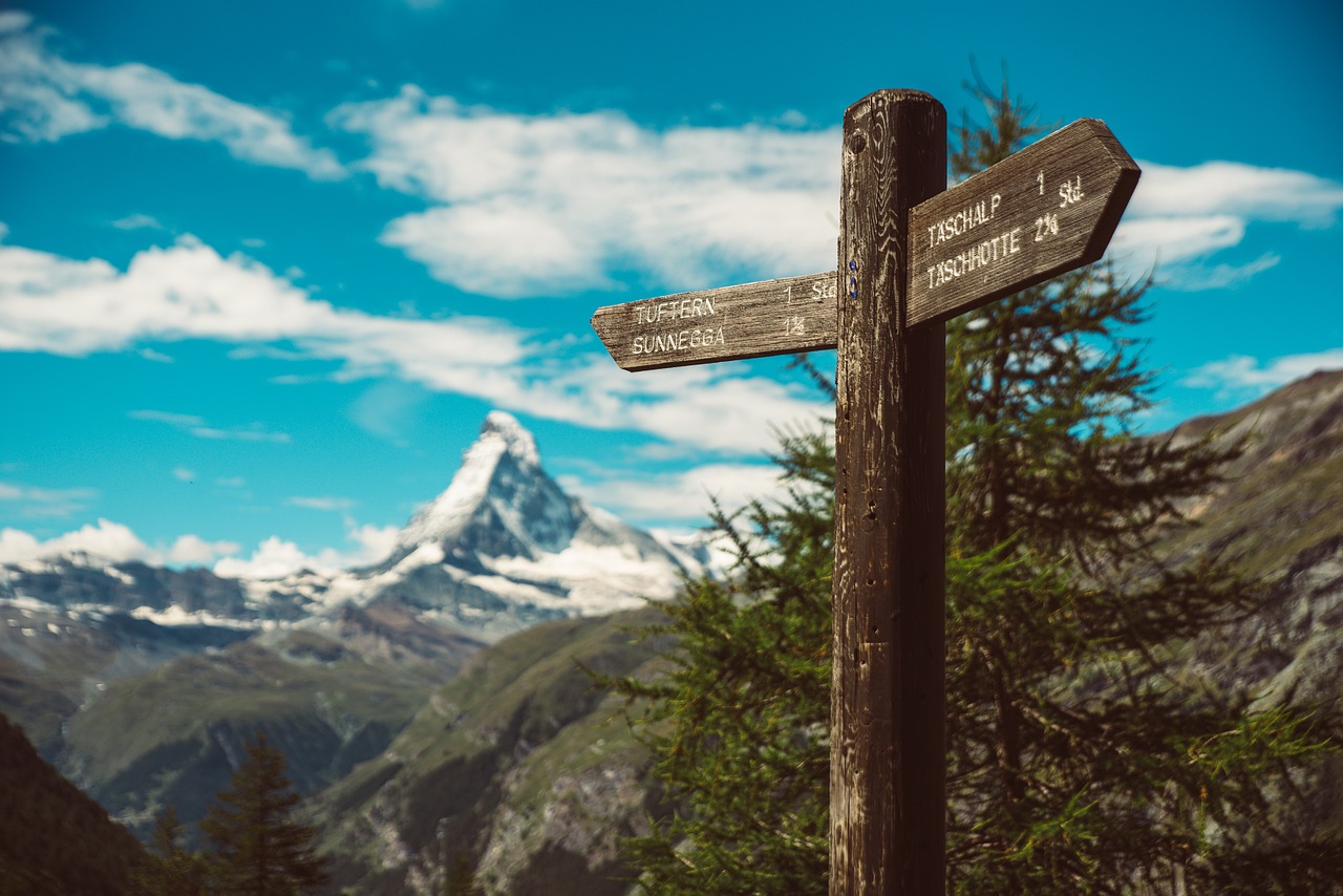 泰利最新路徑探索與突破,揭秘最新動(dòng)態(tài)與突破進(jìn)展