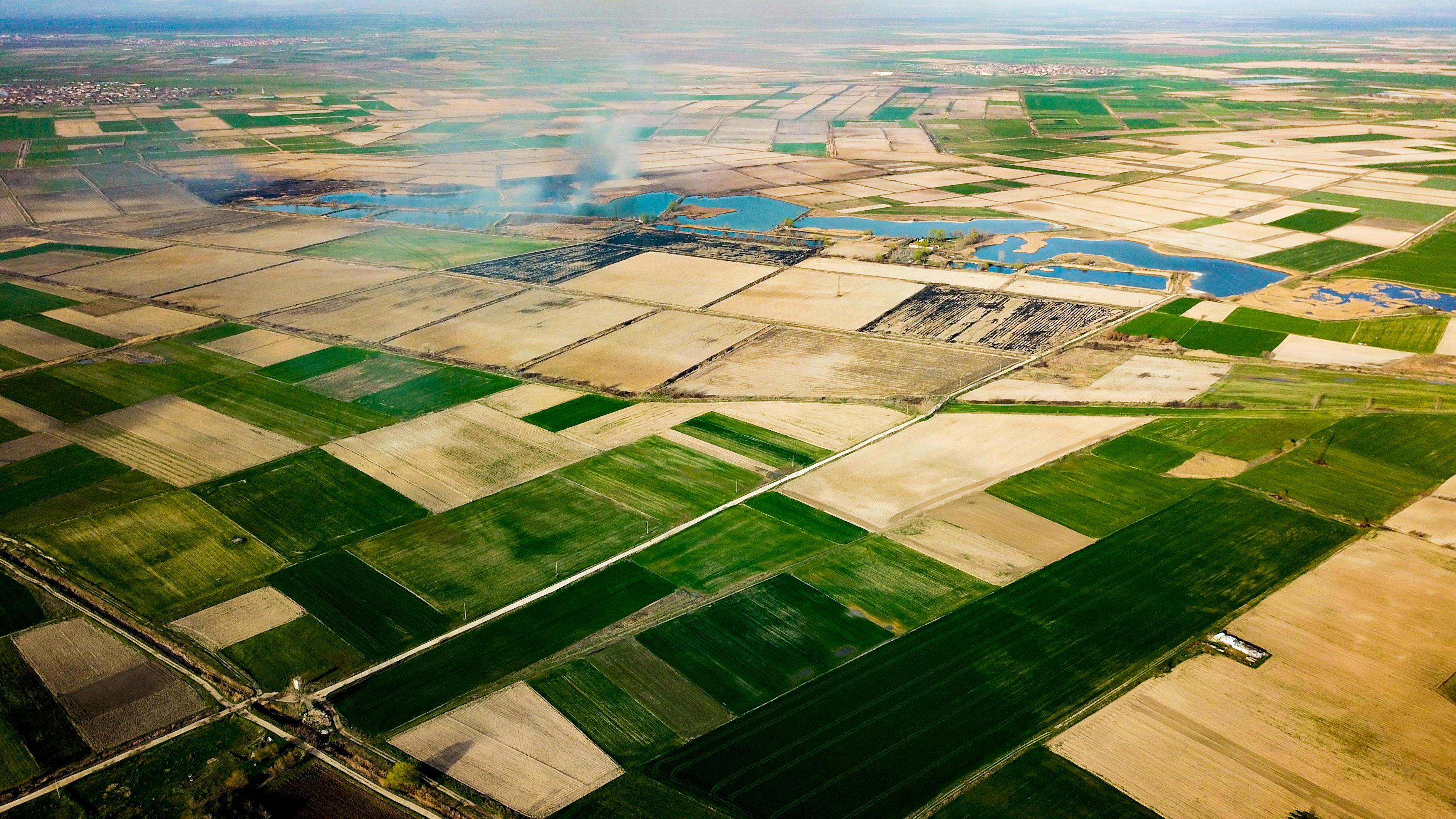 二四六天天彩資料大全網最新2024,深入解析全面信息概念_生活美學集92.09.2