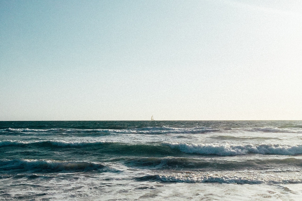 魯豫持續展現明星風采與媒體影響力新動態