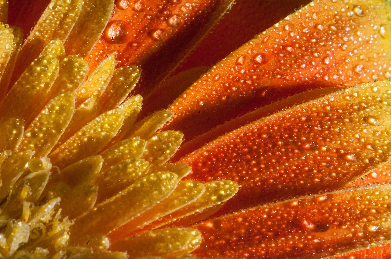 龍永高速最新動態更新