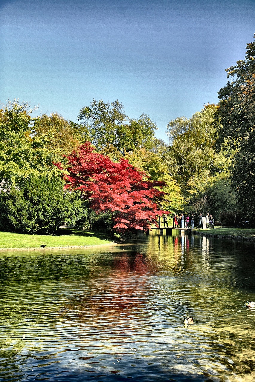 湖南城管最新動態,創新實踐推動城市管理前行