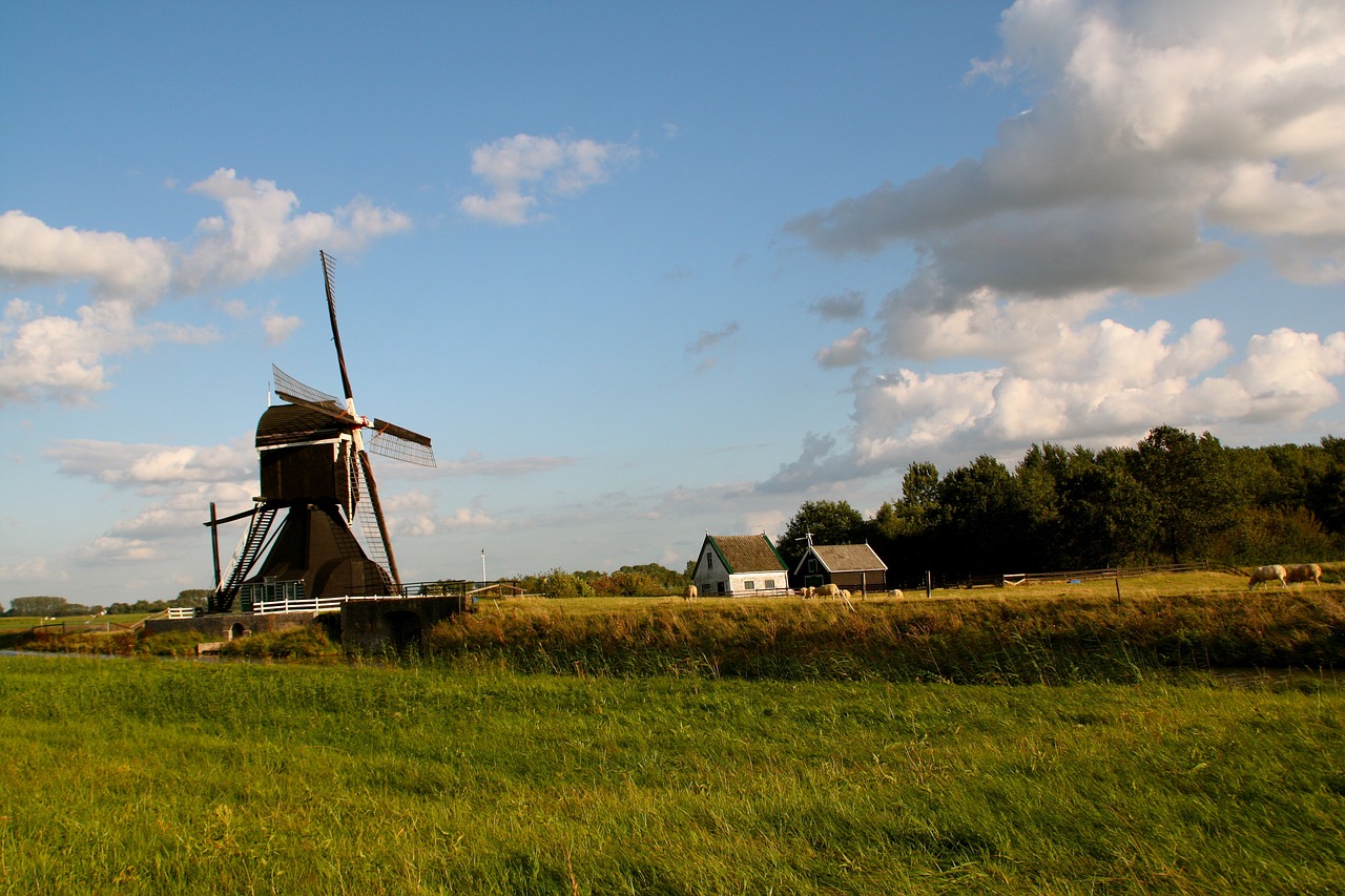 武昌古城改造最新動態(tài),重塑歷史風(fēng)貌,煥發(fā)新城活力