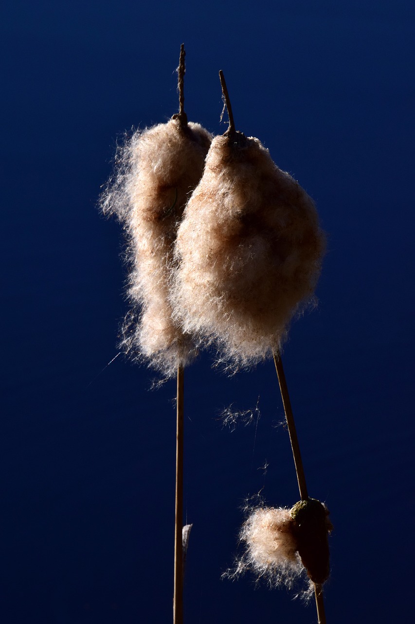 斯丹賽引領科技創新,塑造未來產業格局新動態