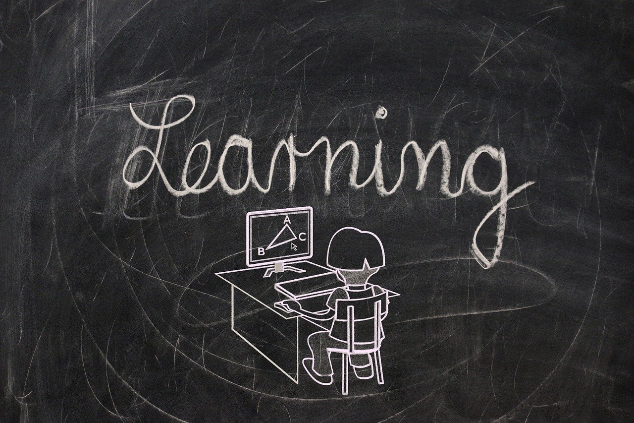 我的民國生涯,歷史風云與時代變遷的最新章節