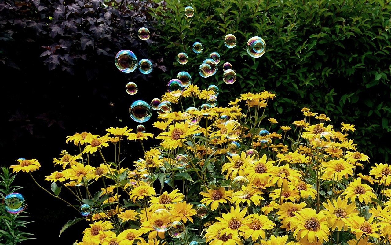 武漢公租房最新動態(tài)解析,全面解讀最新消息