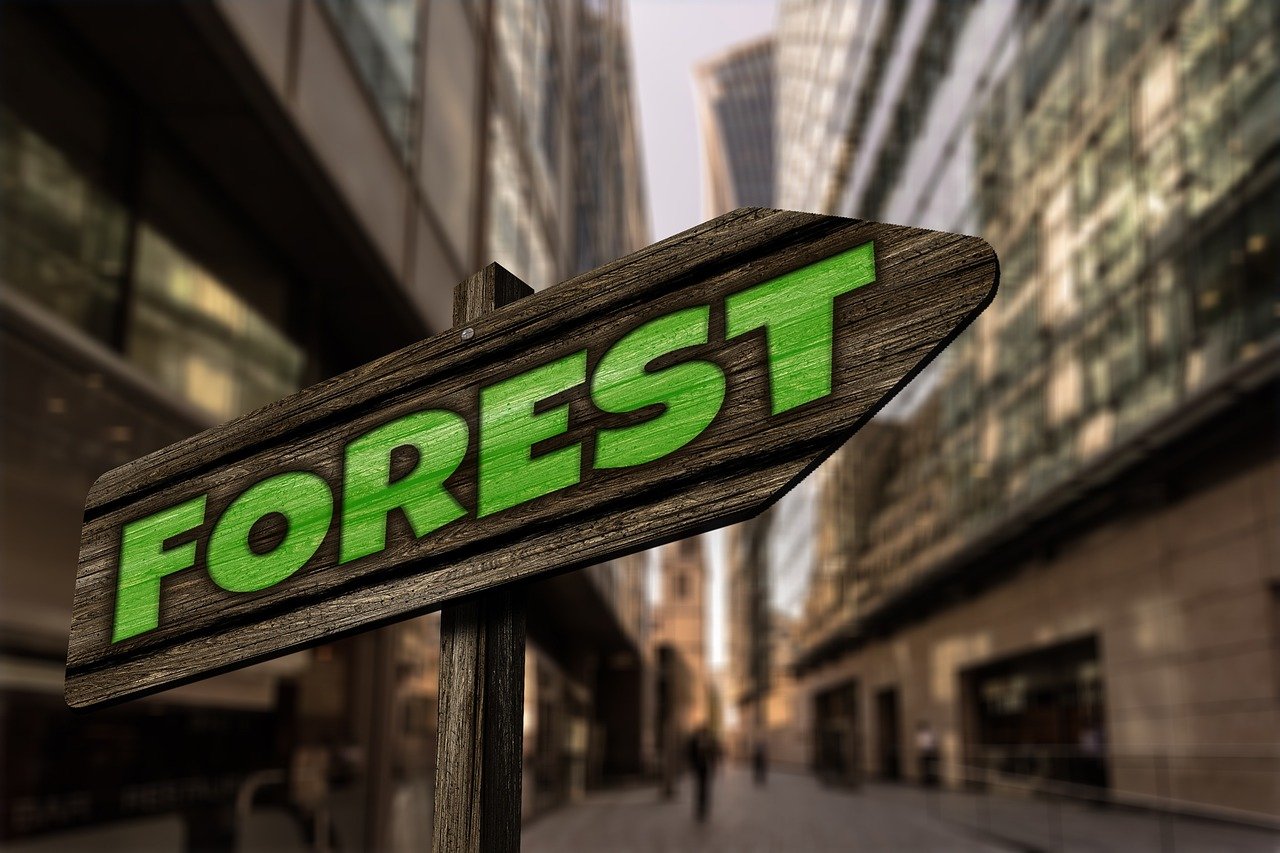 關(guān)于901彩票官方app最新版的探討與警示,警惕違法犯罪風(fēng)險(xiǎn)