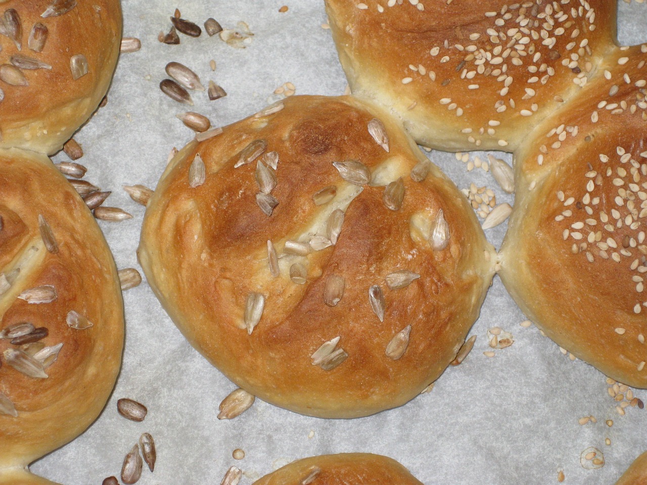 建始公路建設(shè)最新動態(tài),縣域交通邁入新紀元發(fā)展之路