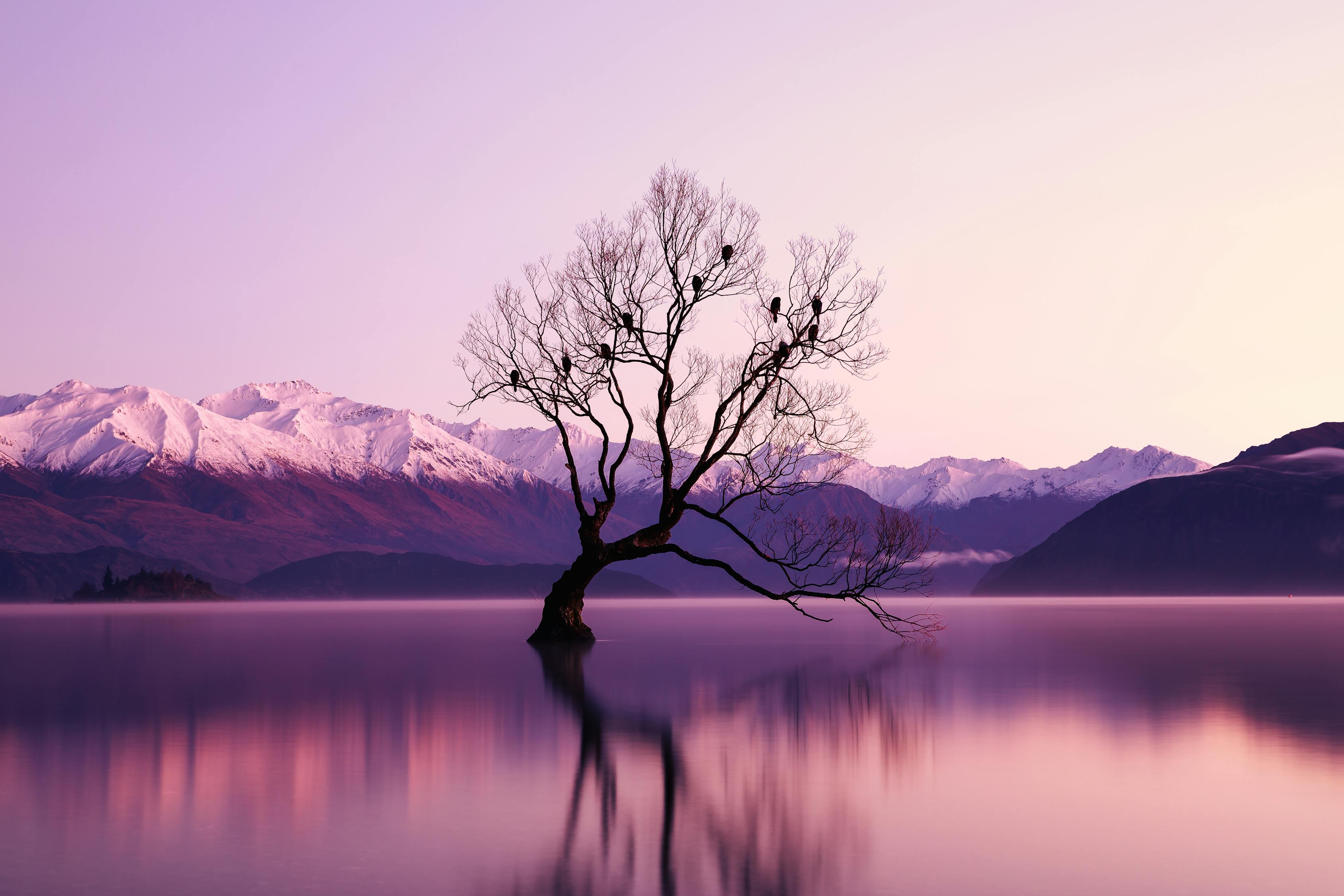 一轉成雙2016最新一期,探尋真實愛情的力量之旅