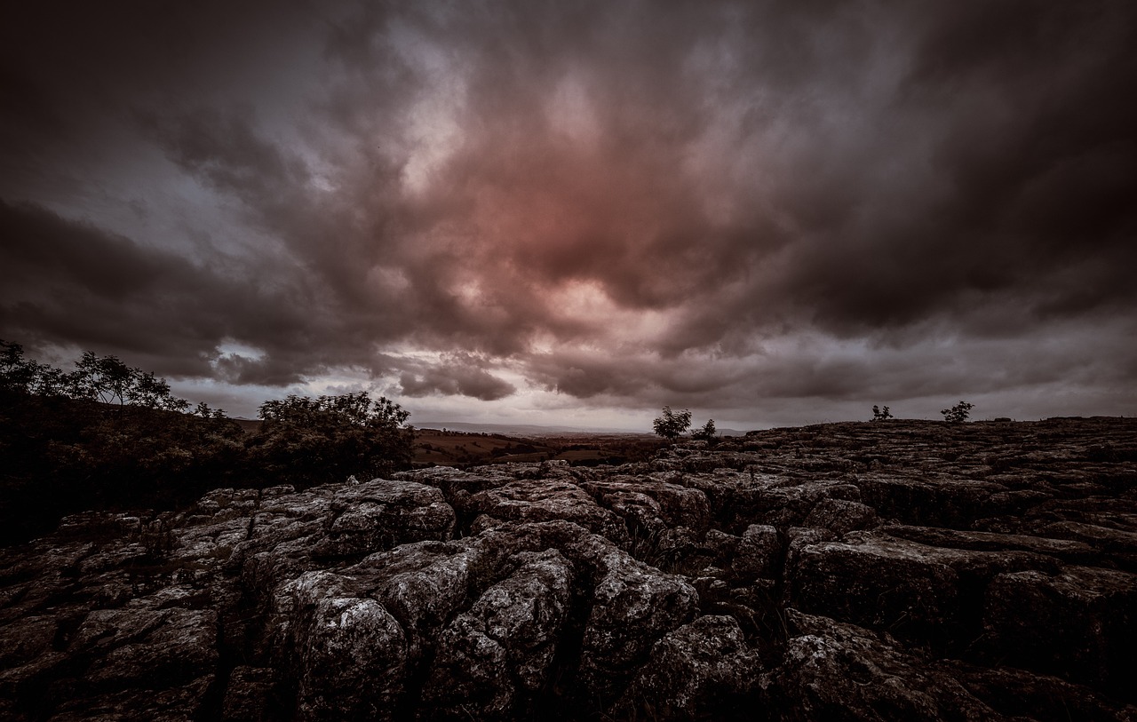 最新外語電影的魅力與深遠影響