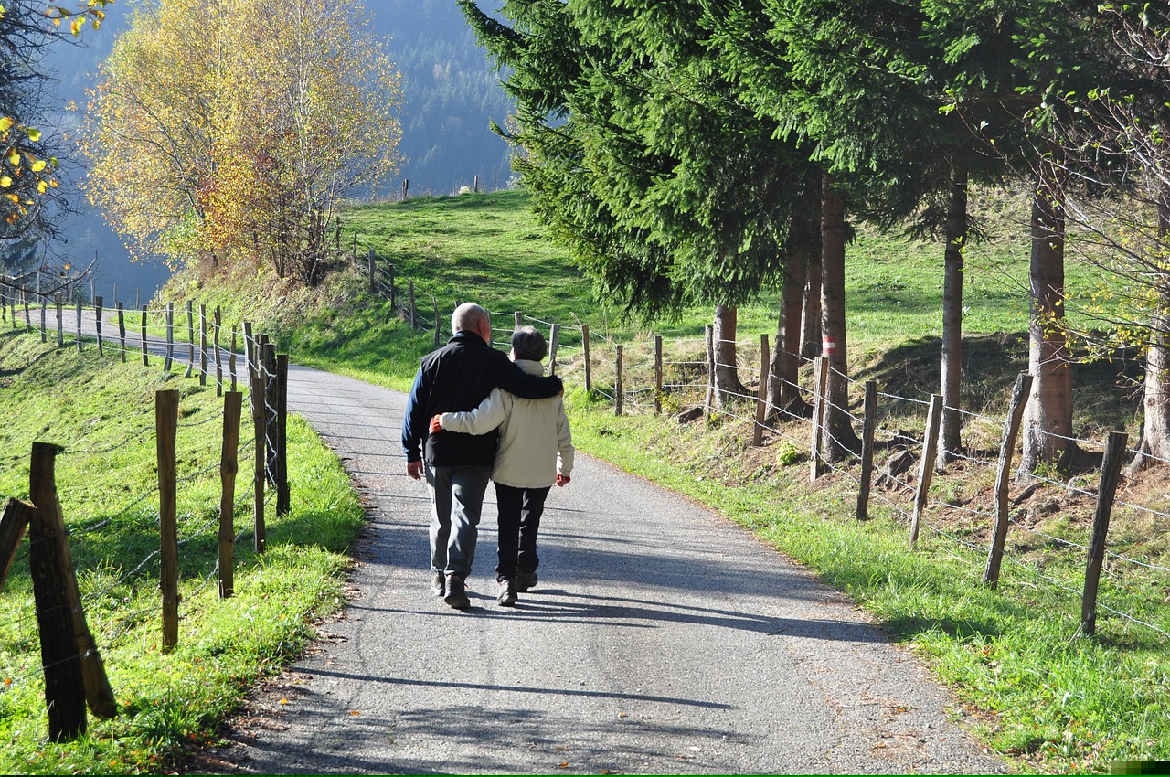 水櫻最新探索與發(fā)現(xiàn)之旅