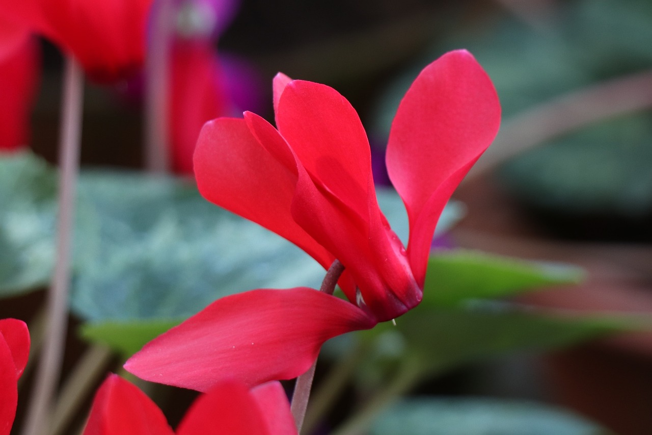 乳源時事熱點新聞速遞,聚焦最新動態(tài),傳遞地方聲音