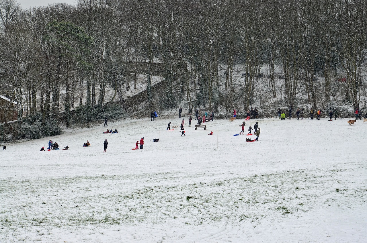 新泰最新房?jī)r(jià)動(dòng)態(tài)與趨勢(shì)分析報(bào)告發(fā)布