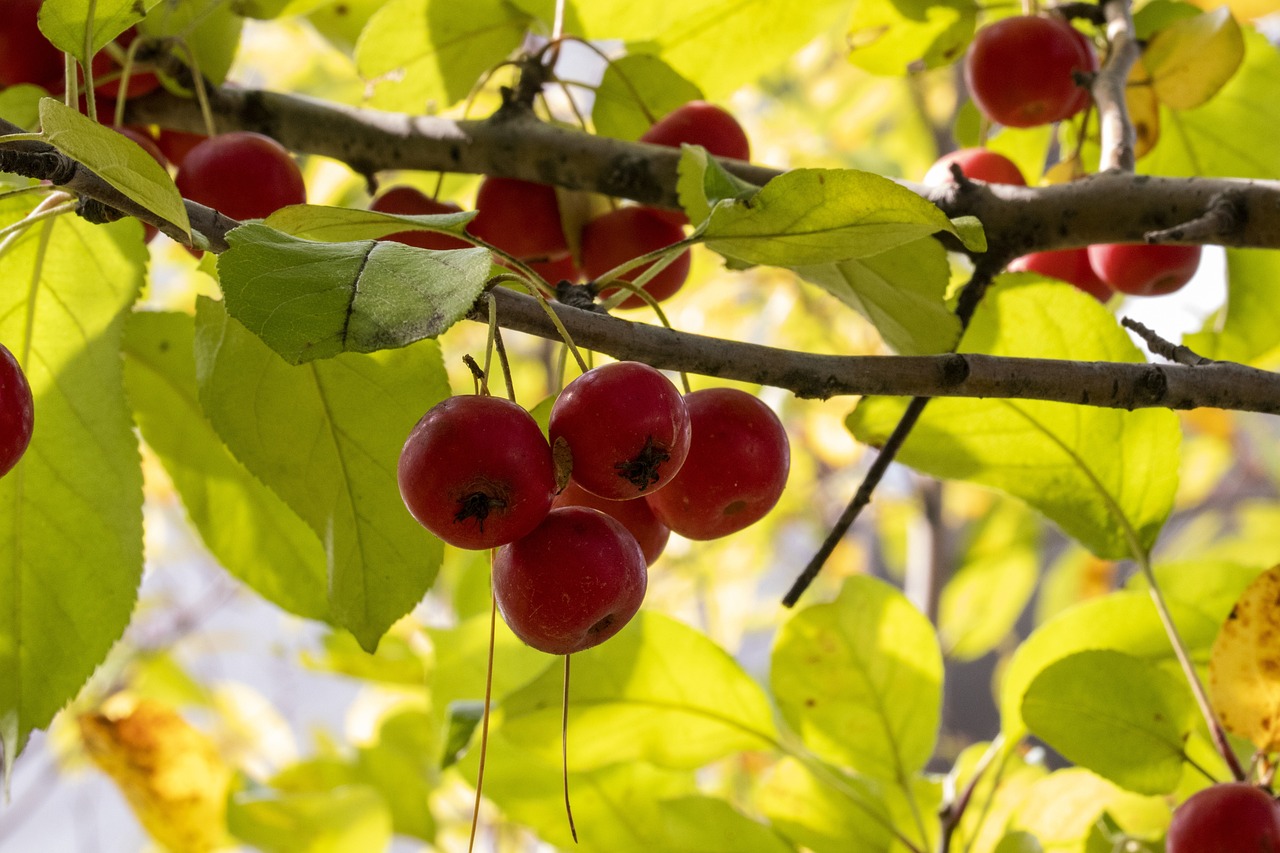 怒江最新動態，發展與挑戰并存