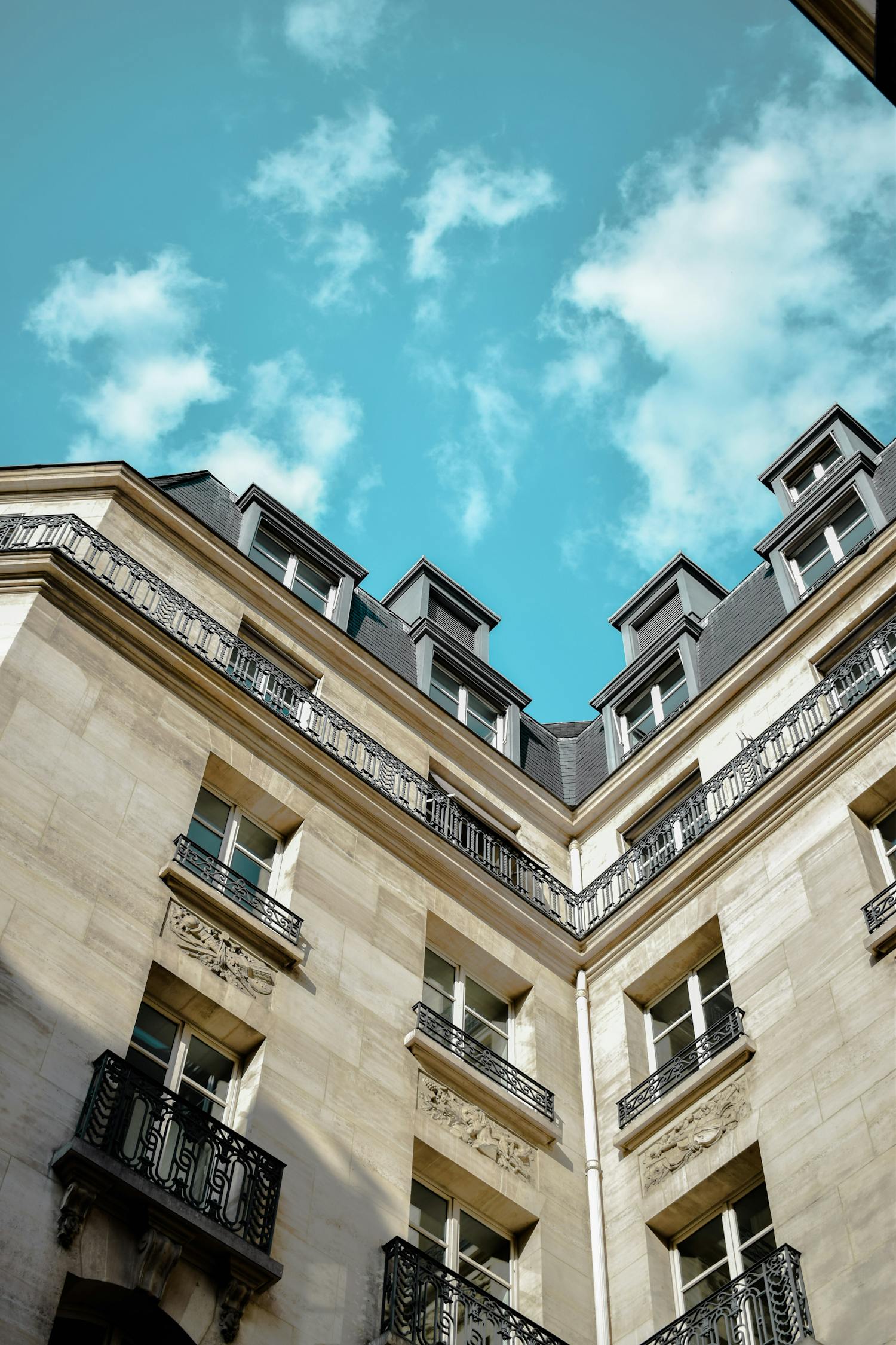 雒容最新租房,城市中的理想居住之選