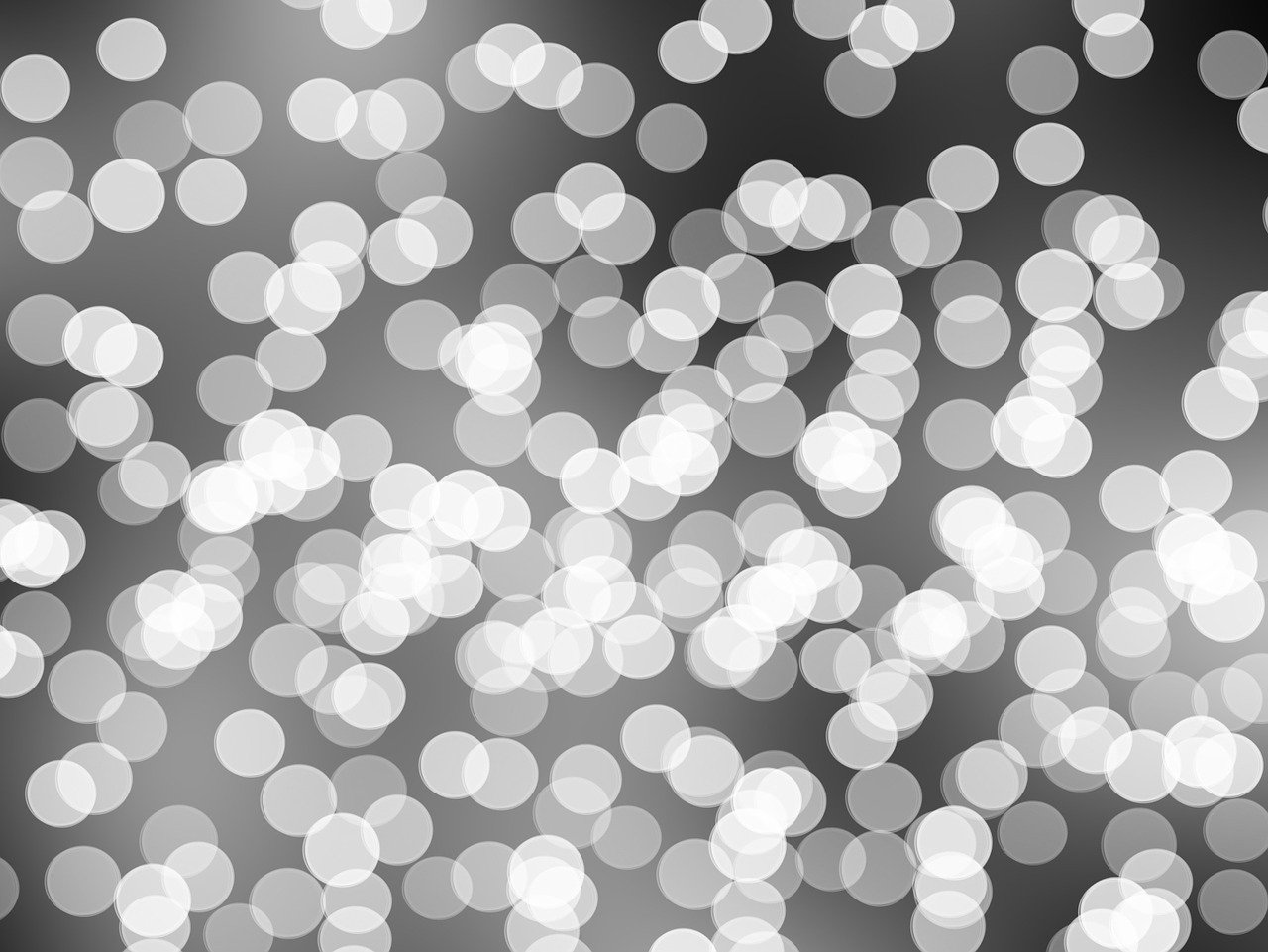 范佩西最新動態(tài),球場風(fēng)采依舊閃耀