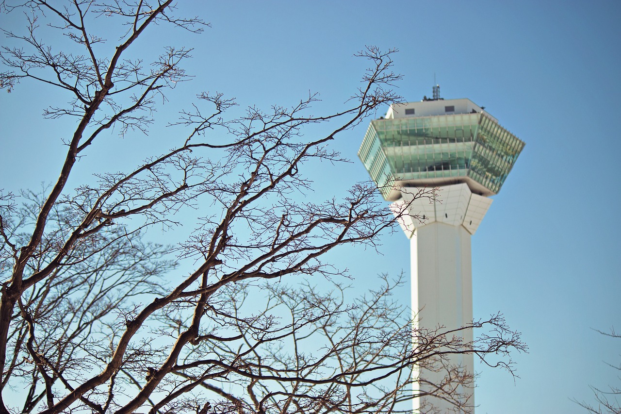 楓亭最新新聞,探尋新時代的獨特魅力