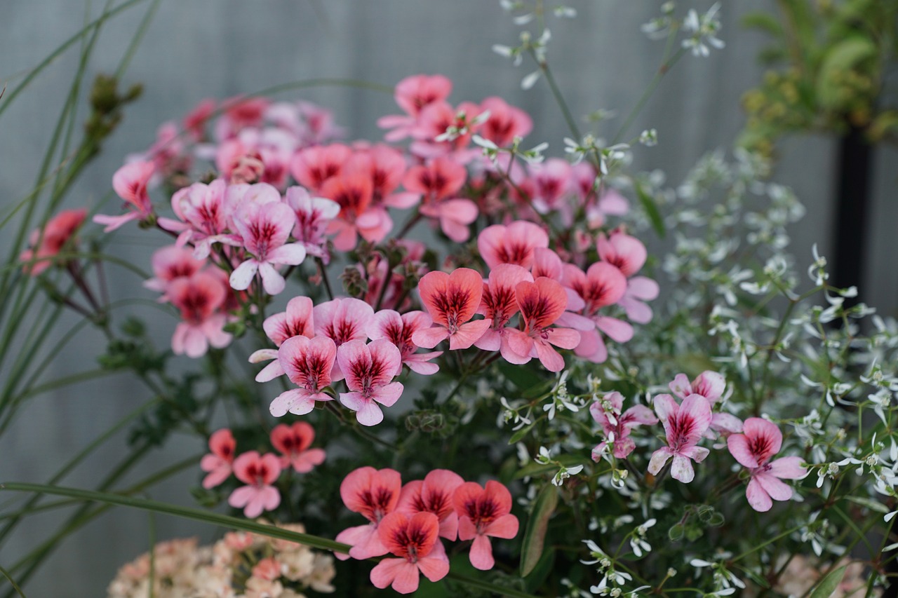 TVB最新動態(tài),引領(lǐng)行業(yè)變革,持續(xù)創(chuàng)新,刷新觀眾期待的新高度