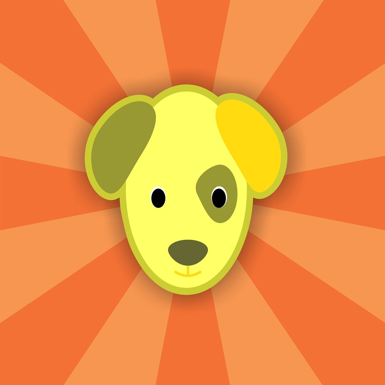 OD體育App最新動態,引領體育領域的創新變革