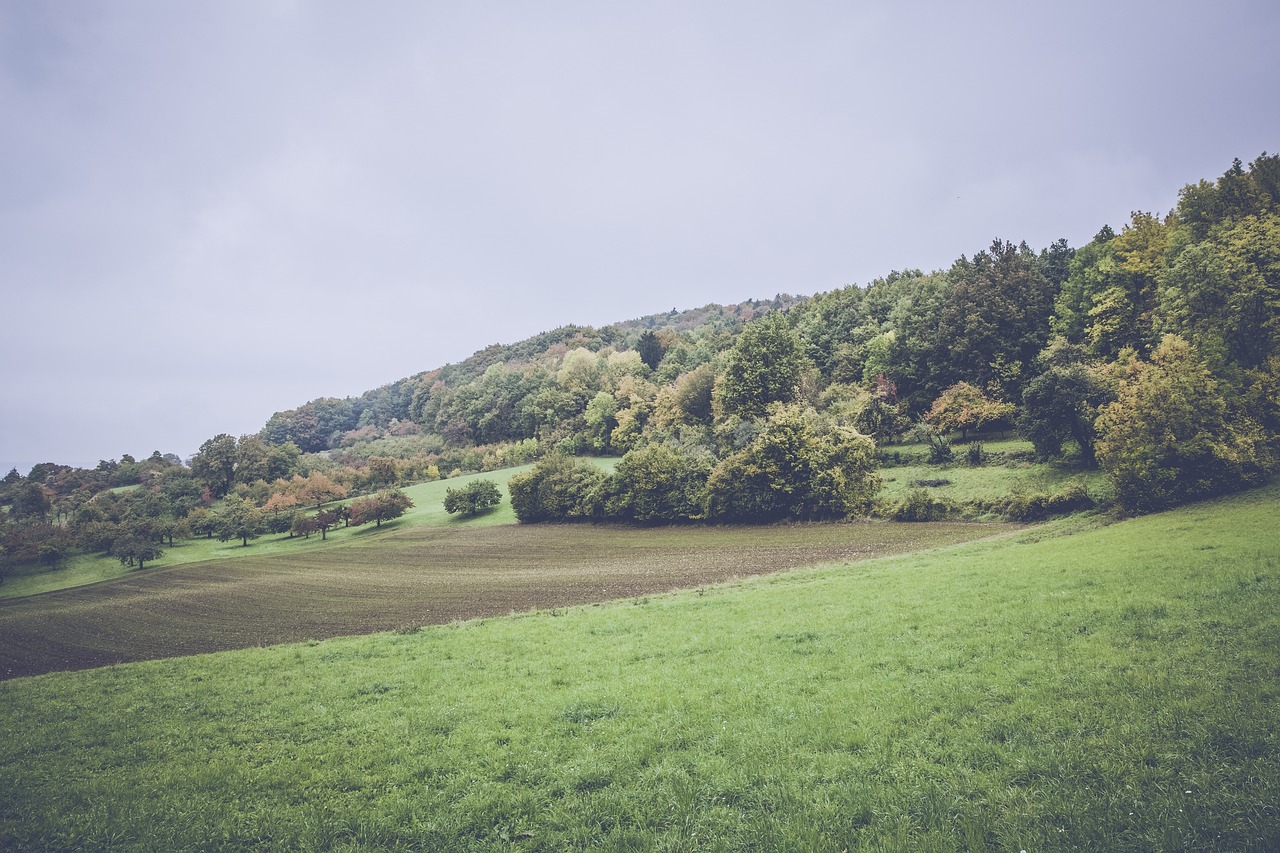 星湖廣場最新動態揭秘,城市新地標的發展脈絡與未來展望