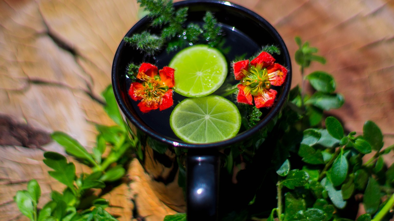 恩佐斯戰最新動態深度解析與前瞻