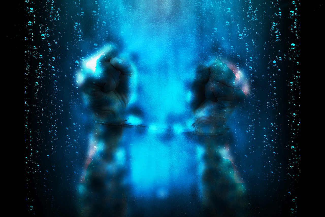 挑戰與變革的交織,監獄風云最新章節