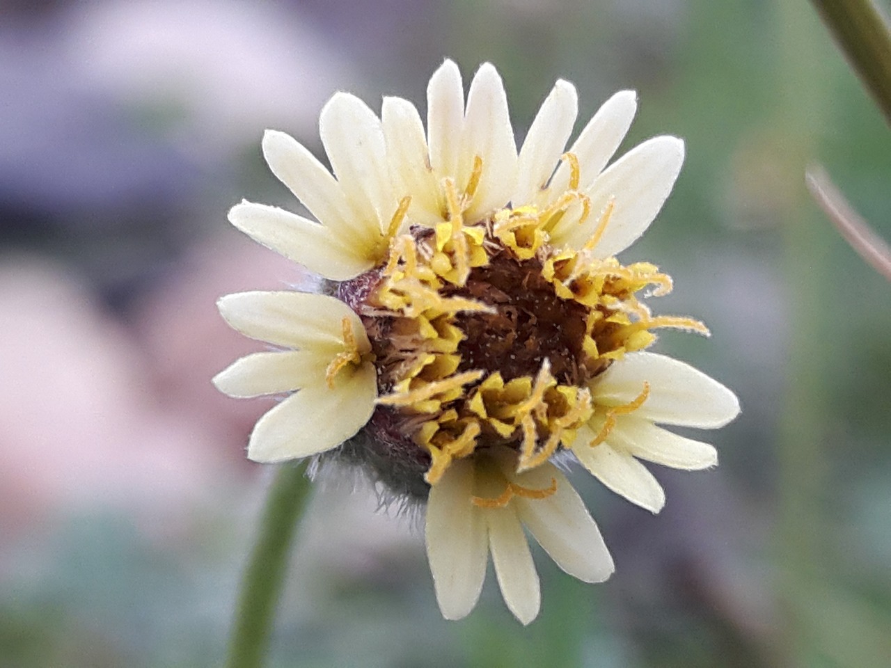 宜昌市最新房價動態及分析,影響與趨勢探討