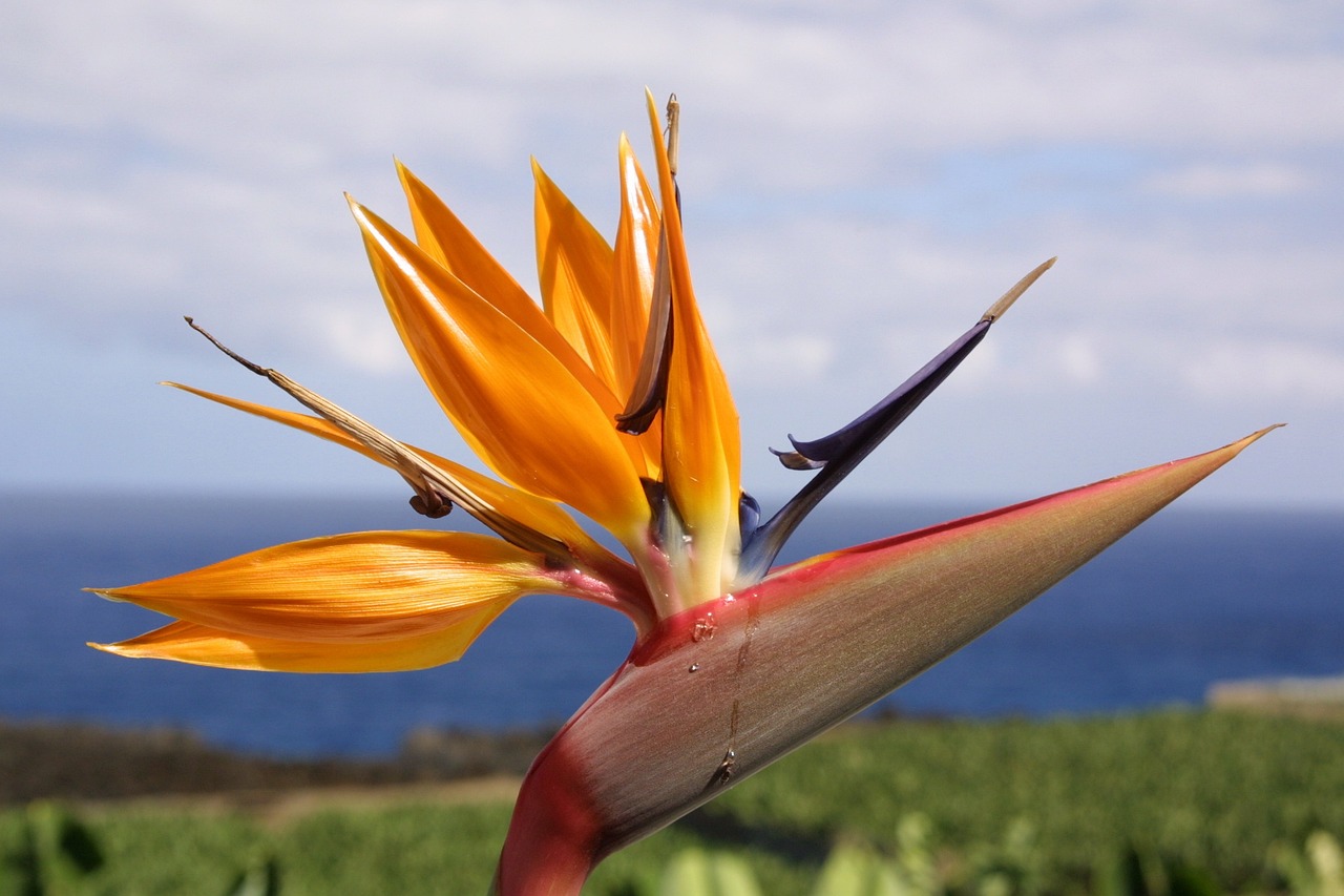 王靖最新動態,展現卓越領導力與潛力的持續閃耀