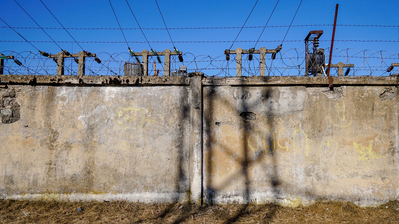 株冶最新動(dòng)態(tài),引領(lǐng)綠色冶煉變革,樹(shù)立行業(yè)新標(biāo)桿