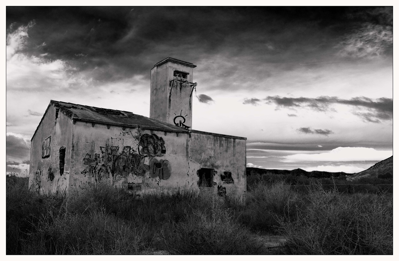 云在指尖最新新聞深度解析與動態(tài)報道