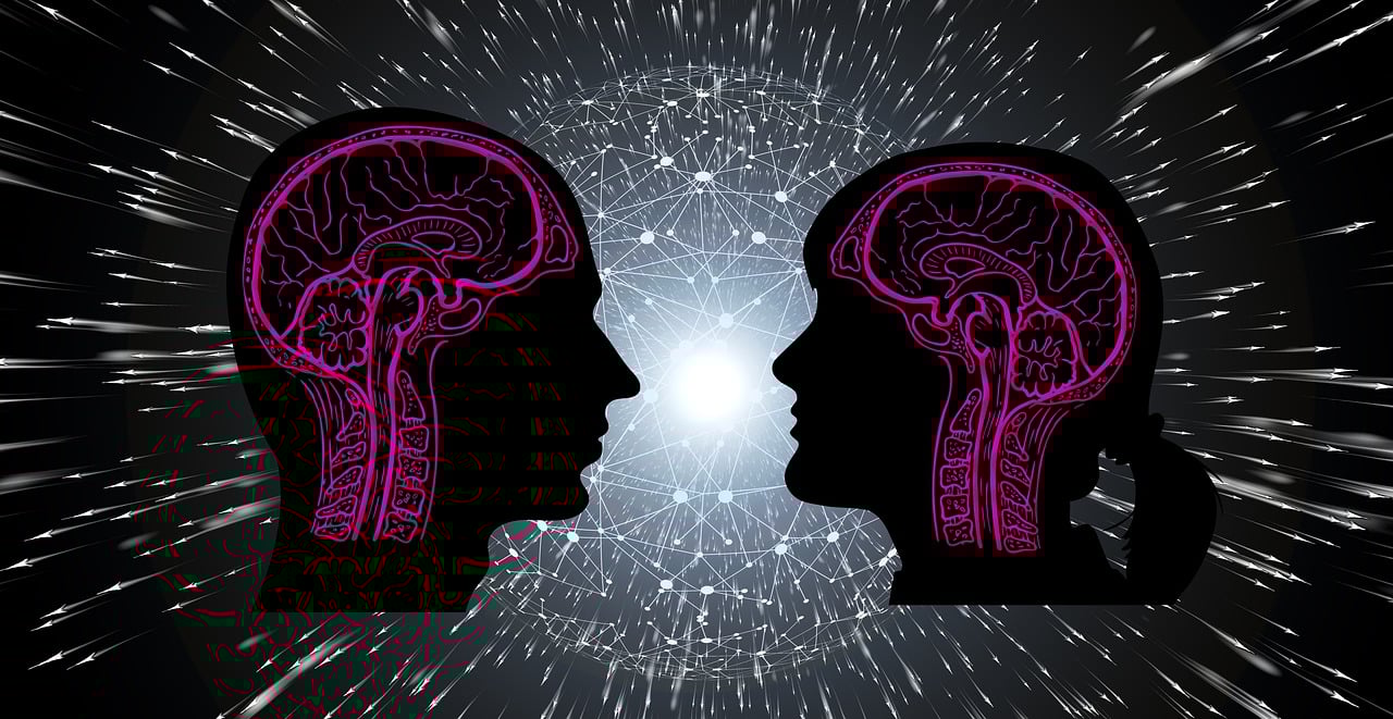 郭金宗最新動態揭秘,多重身份與最新消息一覽