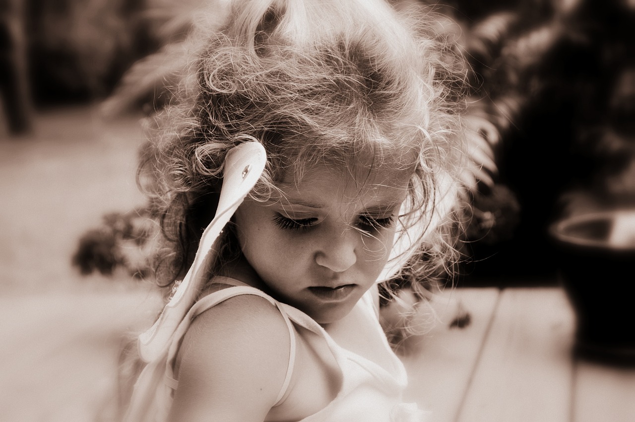 遼寧省玉米最新價格及動態分析概述