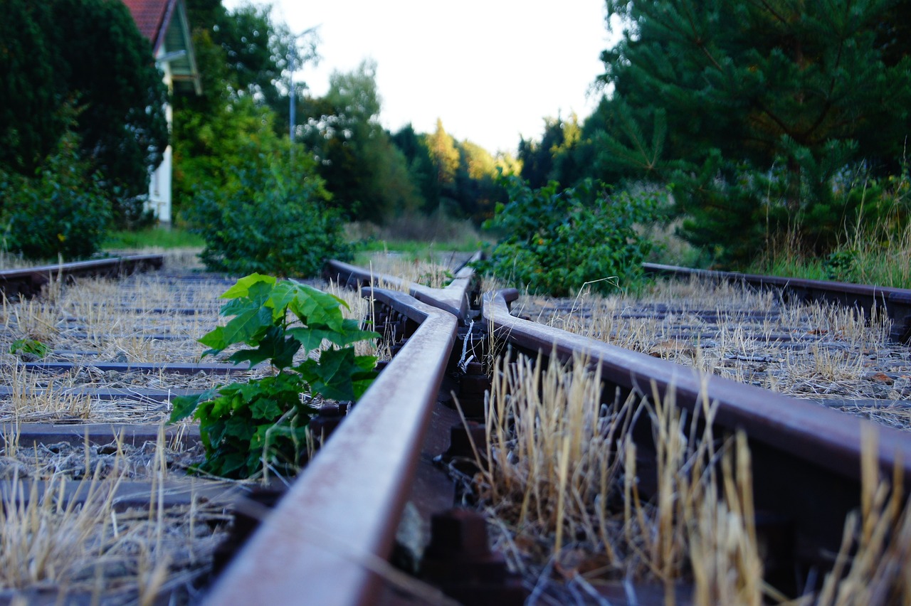 九寨地震最新消息,災難中的希望與重建之路