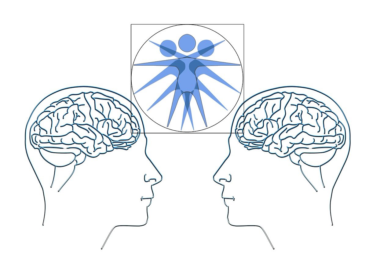 樂視會(huì)員共享賬號(hào)最新動(dòng)態(tài)解析與探討